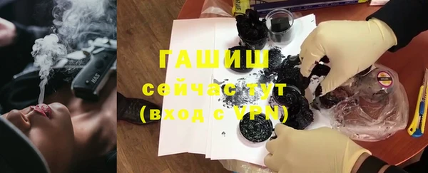 прущие грибы Алзамай