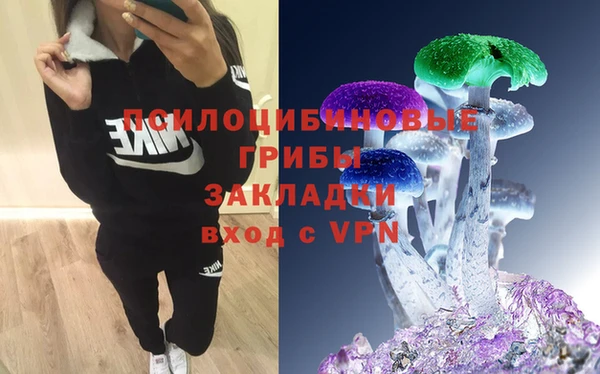 прущие грибы Алзамай