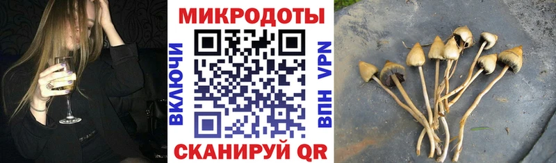 блэк спрут зеркало  Берёзовка  Псилоцибиновые грибы прущие грибы 